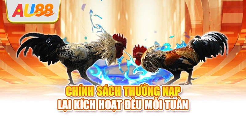 Chính sách thưởng nạp lại kích hoạt đều mỗi tuần