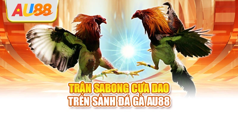Trận Sabong cựa dao trên sảnh đá gà AU88