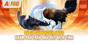 Đá gà Campuchia
