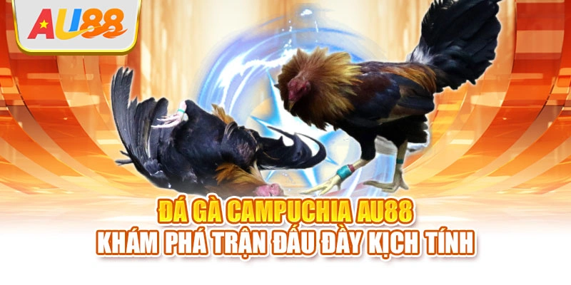 Đá gà Campuchia
