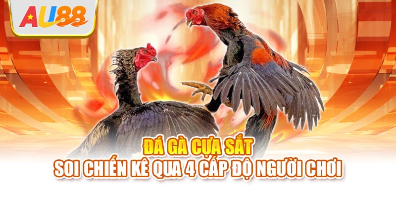 Đá gà cựa sắt