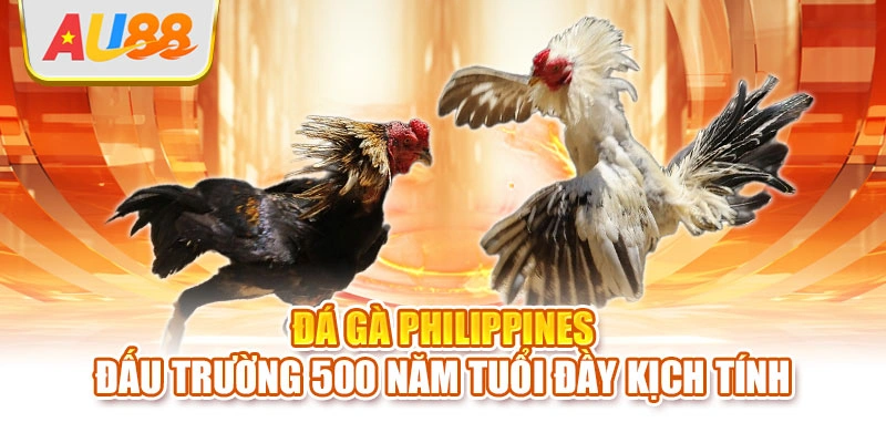 Đá gà Philippines