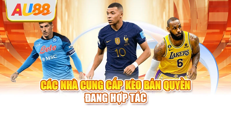 Các nhà cung cấp kèo bản quyền đang hợp tác